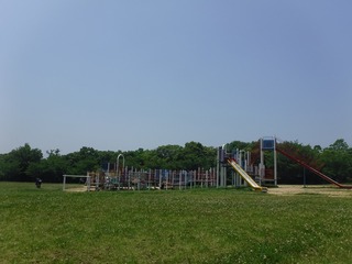 DSCF5687.jpg
