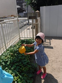 DSCF5816.jpg