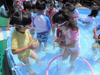 DSCF5915.jpg