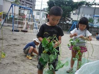 DSCF6377.jpg
