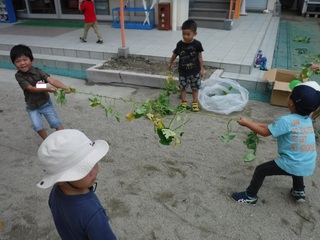 DSCF6381.jpg
