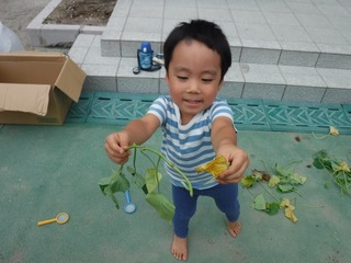 DSCF6388.jpg