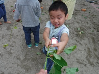 DSCF6411.jpg