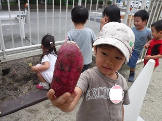 DSCF6423.jpg