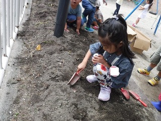 DSCF6445.jpg