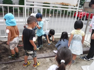 DSCF6452.jpg