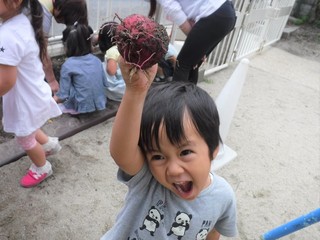DSCF6467.jpg