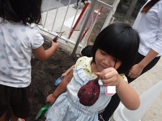 DSCF6473.jpg