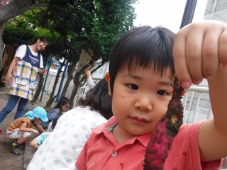 DSCF6477.jpg