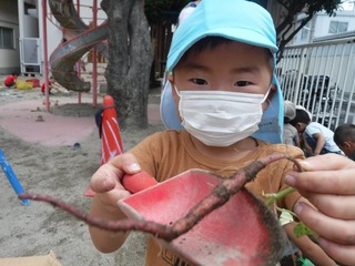 DSCF6478.jpg
