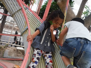 DSCF6517.jpg