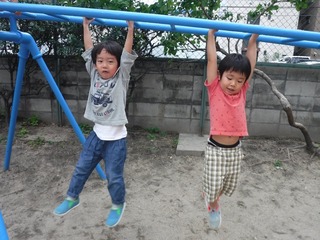 DSCF6533.jpg