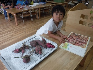 DSCF6550.jpg