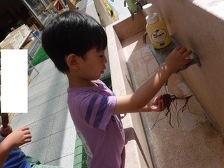 DSCF6646.jpg