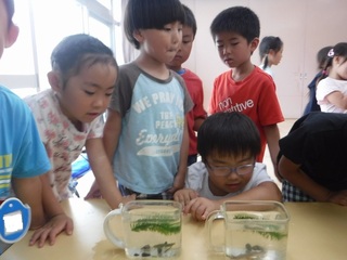 DSCF6696.jpg
