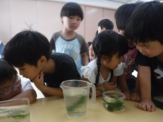DSCF6698.jpg