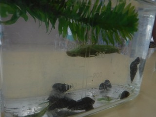 DSCF6703.jpg