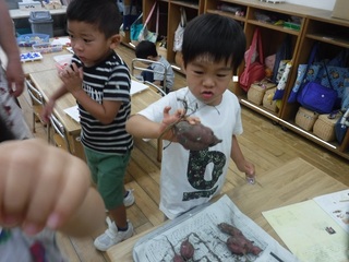 DSCF6893.jpg