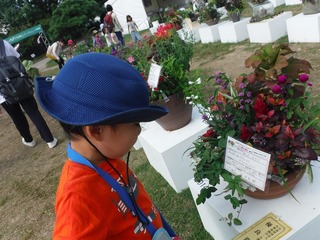 DSCF7025.jpg