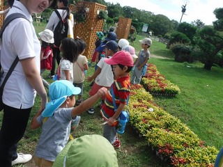 DSCF7055.jpg