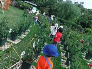 DSCF7056.jpg
