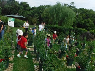 DSCF7057.jpg