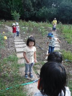DSCF7072.jpg