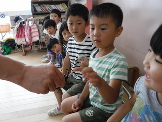 DSCF7233.jpg