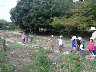 DSCF7242.jpg