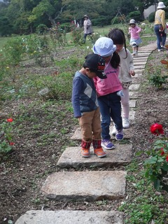 DSCF7243.jpg