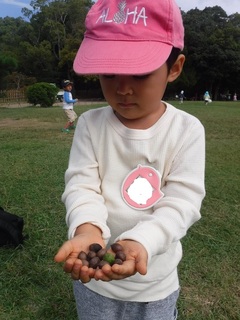 DSCF7259.jpg