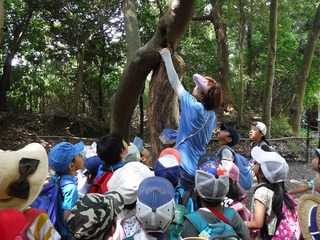 DSCF7273.jpg