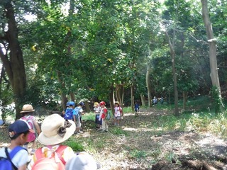 DSCF7274.jpg