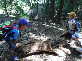 DSCF7278.jpg