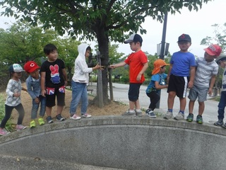 DSCF7323.jpg