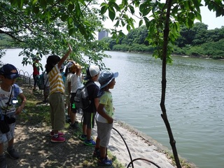 DSCF7330.jpg