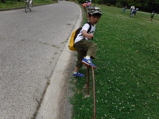 DSCF7384.jpg