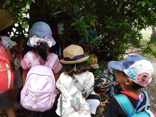 DSCF7389.jpg