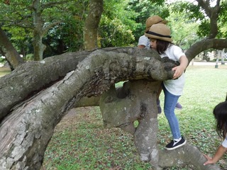 DSCF7408.jpg