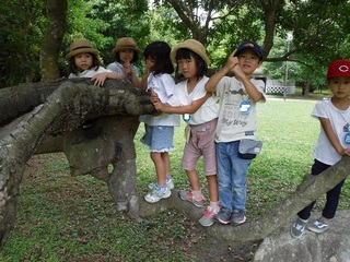DSCF7410.jpg