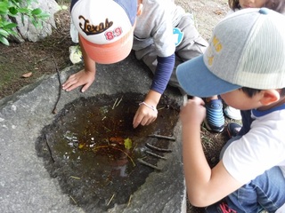 DSCF7414.jpg
