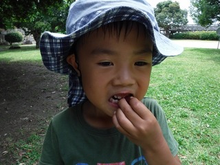 DSCF7420.jpg