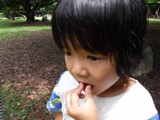 DSCF7423.jpg