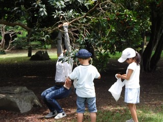 DSCF7425.jpg