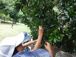 DSCF7428.jpg