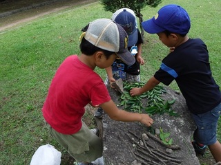 DSCF7437.jpg