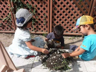 DSCF7451.jpg