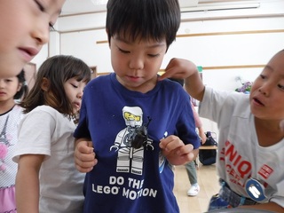 DSCF7495.jpg