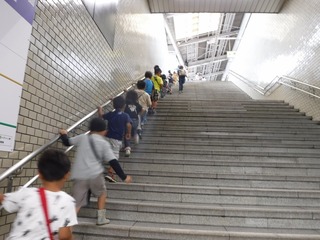 DSCF7511.jpg