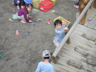 DSCF7537.jpg